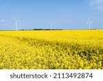 Small photo of Picardy, France, May 2007. Wind farm of 5 wind turbines of 2 megawatts in the department of Somme. Rapeseed field in the foreground