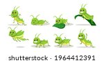 Set Of Cute Green Grasshopper...
