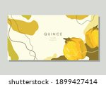 stylized quince on an abstract... | Shutterstock .eps vector #1899427414
