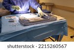 Small photo of scrub nurse fixing the back table set up for an eye operation (corneal transplant)