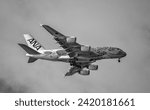 Small photo of Honolulu, Hawaii, USA. FEBRUARY 1, 2024. Overhead view of an Airbus 380 on landing approach to Honolulu International Airport.