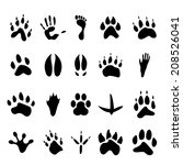 Animal Footsteps Silhouette Free Stock Photo - Public Domain Pictures