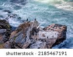 Waves And Rocky Coast Of...