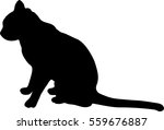 silhouetted vector of black cat ... | Shutterstock .eps vector #559676887