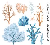 Small photo of Beautiful set with watercolor hand drawn coral illustrations. Sea underwater life.