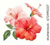 Watercolor Tropical Flower Red...
