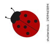 Cartoon Ladybug. Vector...