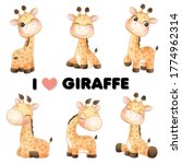 Cute Little Giraffe Poses With...