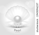 Vector 3d Realistic Beautiful Natural Opened White Pearl Shell with White Pearl Inside Closeup Isolated on White Background with Reflection. Design Template of Seashell for Graphics. Front View