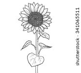 Doodle Sunflower Contour...