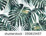 tropical palm leaves  jungle... | Shutterstock .eps vector #350815457