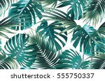 tropical palm leaves  jungle... | Shutterstock .eps vector #555750337