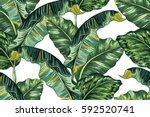 tropical palm leaves  jungle... | Shutterstock .eps vector #592520741