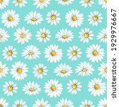 chamomile  a flower drawn by... | Shutterstock . vector #1929976667
