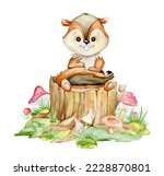 A Cute Chipmunk Is Sitting On A ...