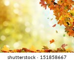 Autumn Background 
