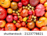 Assortment Of Tomatoes. Plenty...