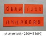 Small photo of Know your triggers sign message on orange paper background. Mental triggering and self-awareness concept.