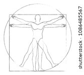 Vitruvian Man Drawing Vector...