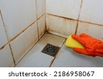 Small photo of Clean old dirty bathroom floors and walls, bathroom cleaning tools to try and remove dirt, mold and corrosion from white bathroom tiles. sponge.
