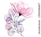 Transparent Floral Set Isolated ...