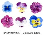 Watercolor Set Of Flowers...
