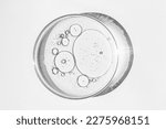 Small photo of Petri dish. Petri's cup with liquid. Chemical elements, oil, cosmetics. Gel, water, molecules, viruses. Close-up. On a white background.