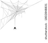 spider on corner web. design... | Shutterstock .eps vector #1802848831