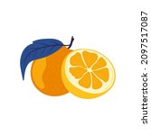 orange. tropical fruit and... | Shutterstock .eps vector #2097517087