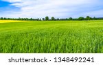 Green Farm  Panoramic View Of...