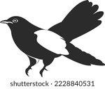Wild Cuckoo Bird. Black And...