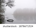 Moody Misty Landscape Of Lake...