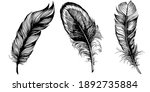 set of bird feathers isolated... | Shutterstock .eps vector #1892735884
