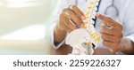 Small photo of close up physical therapist hand pointing on human skeleton at low back to advise and consult to patient to treatment at office for healthcare concept