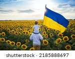 dad with son, who sits on shoulders, with large flag of Ukraine against backdrop of beautiful flowering field with sunflowers. Patriotic education. Pride, faith in victory. Stop war. Independence Day
