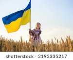 girl in national embroidered Ukrainian blouse with large yellow-blue flag stands in wheat field at sunset. proud to be Ukrainian, symbol of the country, national identity. Glory to Ukraine. stop war