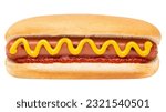 Small photo of Hot Dog. Classic Hot Dog bun with pork or beef sausage, wiener or frankfurter and mustard, ketchup. Traditional American US or USA fast food. Grilled Hot Dog on July 4th Independence Day United States
