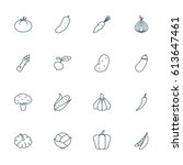 vegetables set of vector icons | Shutterstock .eps vector #613647461