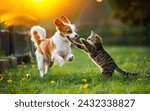 Small photo of A Heartwarming Moment Between a Dog and Cat at Play, Puppy And Kitten, Dog and Cat Playing Together