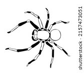 vector outline tarantum spider... | Shutterstock .eps vector #2157473051