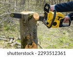Small photo of To saw a tree gasoline saw. The man saws a tree. The forester with a saw.gasoline saw