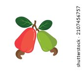 cashew nut vector illustration... | Shutterstock .eps vector #2107456757