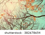 Autumn Tree Branch Background...