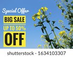 Special Spring Offer Big Sale UP TO 50% OFF Banner with Flowers and Blue Sky background. Shop Now on Natural Background 