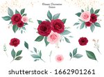 set of floral arrangements of... | Shutterstock .eps vector #1662901261
