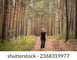 Small photo of Forest baths, an adult woman walks through a pine forest, restoring health and psyche in nature