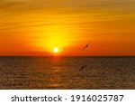 The sunrise.gulls over the sea...