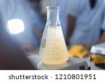 Experiment chemical solution mixing liquids on a Hotplate Stirrer in Lab.
Scientists are boiling and stirring chemicals on the machine hotplate stirrer. In the chemistry laboratory. Close up image.