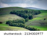scenic view of green fields and ... | Shutterstock . vector #2134303977