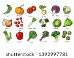 set of colored vegetables.... | Shutterstock .eps vector #1392997781